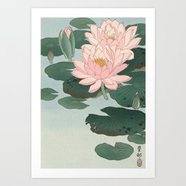 Flowering Water Lily, Ohara Koson Art Print