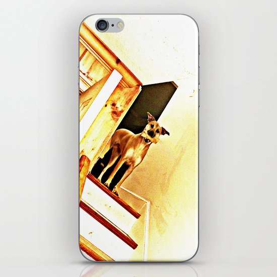 Vertigo Dog iPhone & iPod Skin