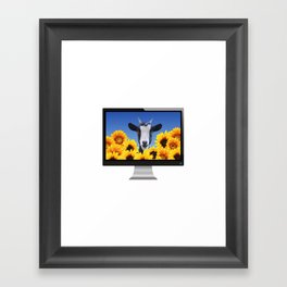 Computer Screen - Goat Sunflowers Field - Animals Framed Art Print