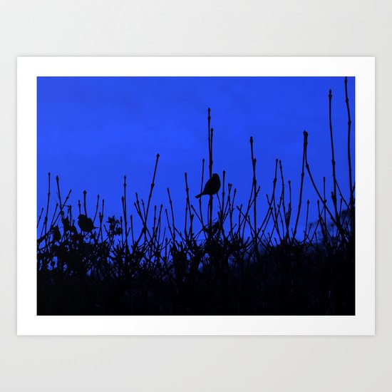Bird Shadows (BLUE) #1 Art Print