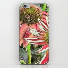 Echinacea I Red coneflowers art and decor  iPhone Skin