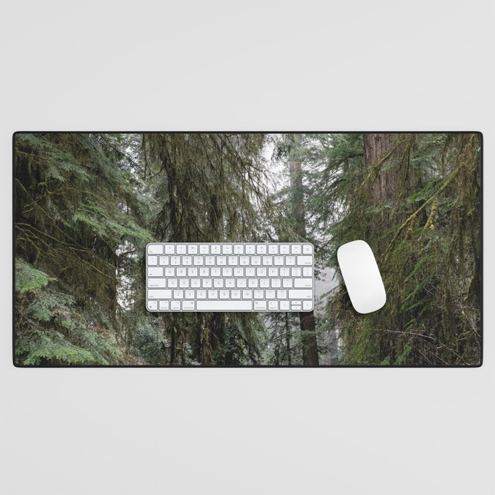 Redwood Forest Adventure II - Nature Photography Desk Mat