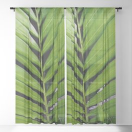 Green Palm Leaf Pattern Sheer Curtain