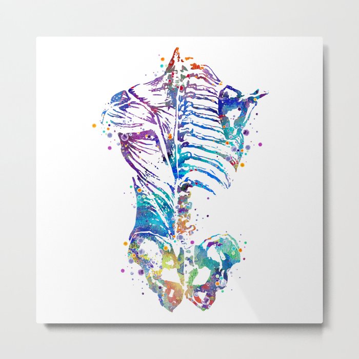 Human Back With Muscles And Bones Physiologist Gift Metal Print