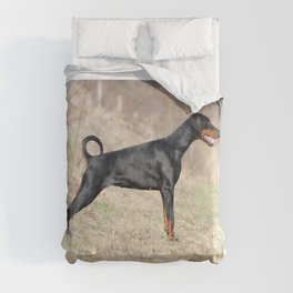 Dobermann Pinscher  Comforter