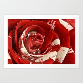 Velvet Ripple Rose Art Print | Nature, Photo 