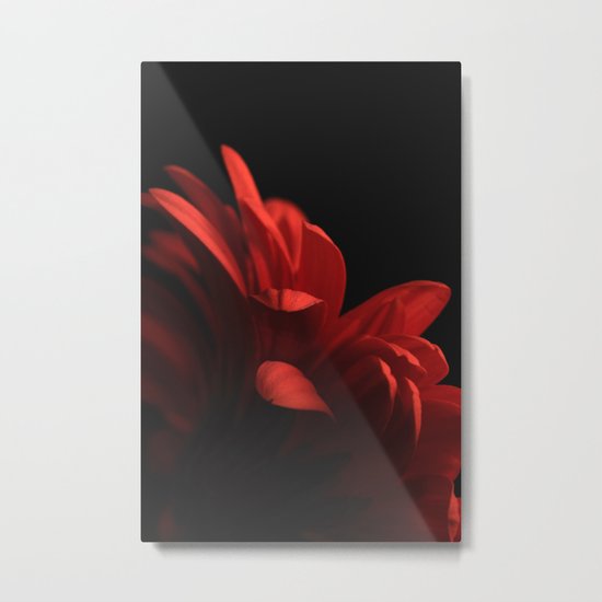 Gerbera II Metal Print