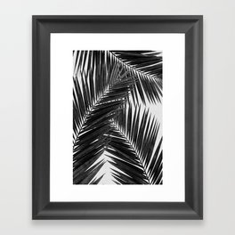 Palm Leaf Black & White III Framed Art Print