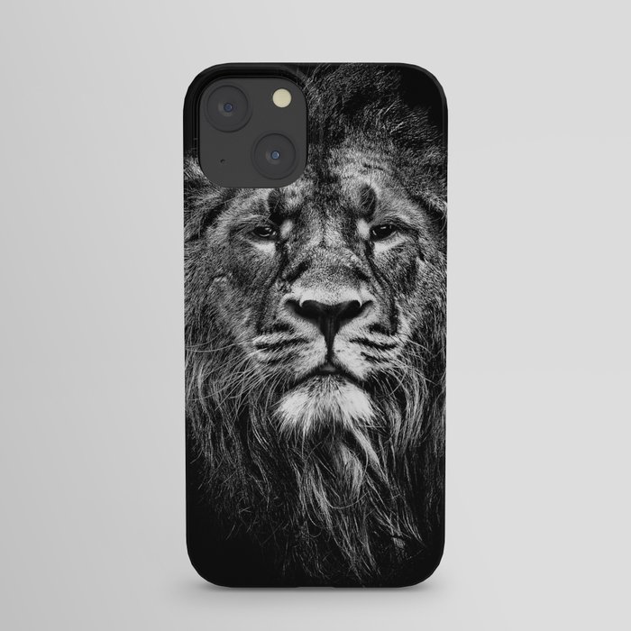 male asiatic lion iPhone Case