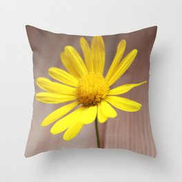 simple happiness Throw Pillow