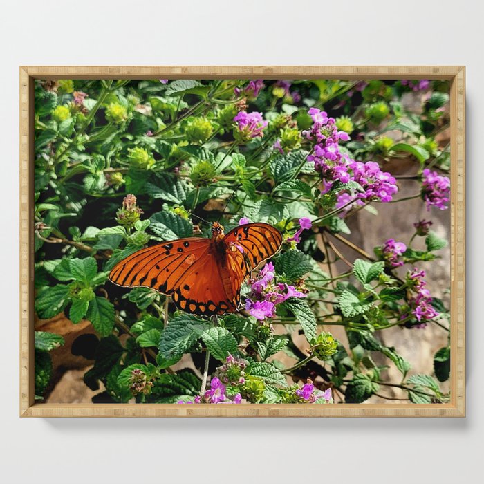 Vibrant Butterfly Serving Tray