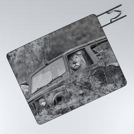 Baby, you can drive my car; lion out for a drive in a Cherokee funny black and white photograph - photography - photographs by Tambako the Jaguar Picnic Blanket