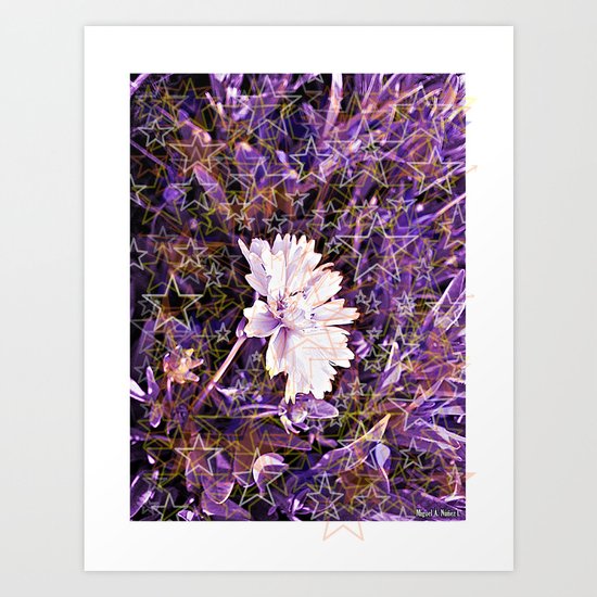 December Aroma Art Print