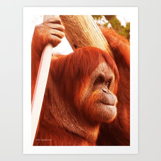 SWEETNESS Art Print
