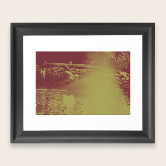 Fly Framed Art Print