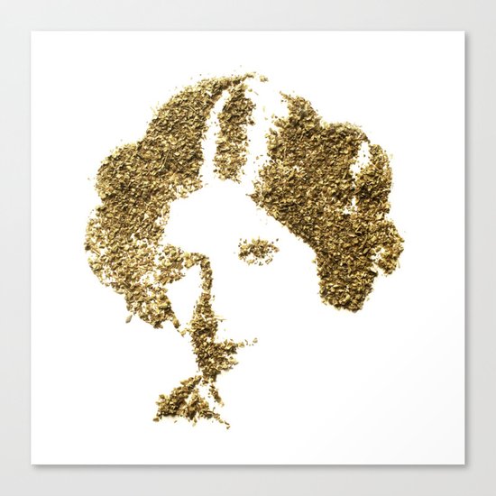 Spices Leia - Oregano Canvas Print