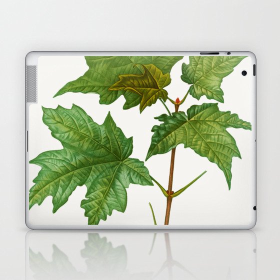 Botanical Maple Laptop & iPad Skin