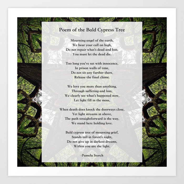 Poem of the Bald Cypress Tree Art Print
