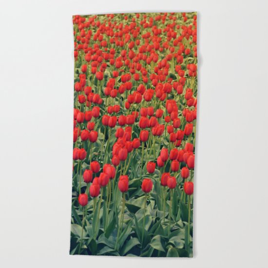 Tulips field #2 Beach Towel