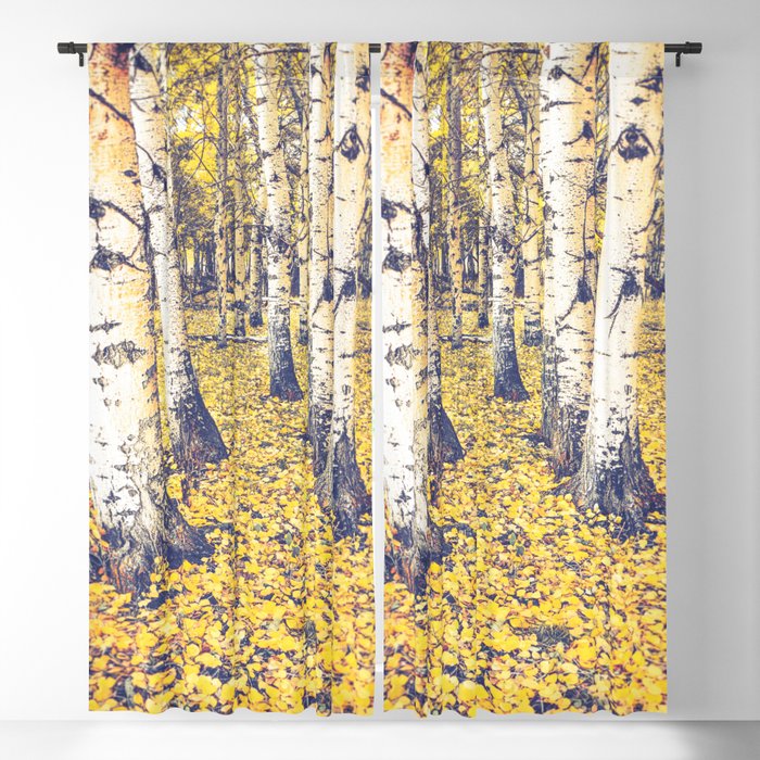 Blackout Curtain