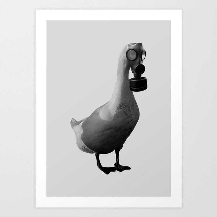 GRAY DUCK ART