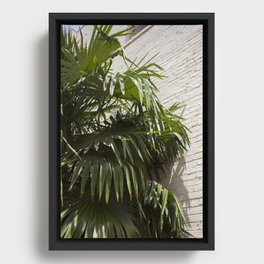 Palms Framed Canvas