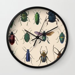 Insects, flies, ants, bugs Wall Clock