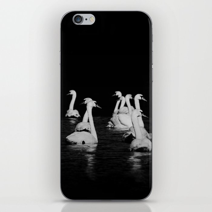 Dark Swan Lake Fine Art Nature Photography iPhone Skin