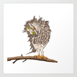 Curious Owl Art Print