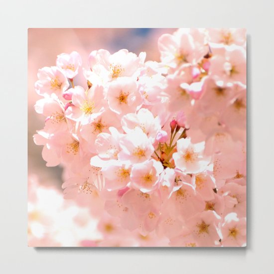 Pretty Pink Spring Blossoms :) Metal Print