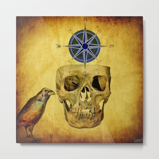 The crane compass Metal Print
