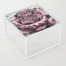 Fifties Rose, pastel drawing Acrylic Box