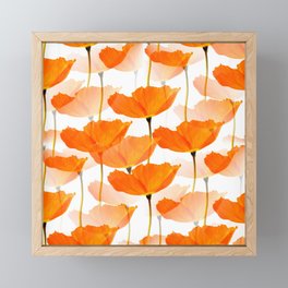 Orange Poppies On A White Background #decor #society6 #buyart Framed Mini Art Print