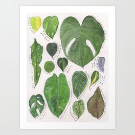 Tropical Houseplants Botanical Illustration Watercolor Art Print