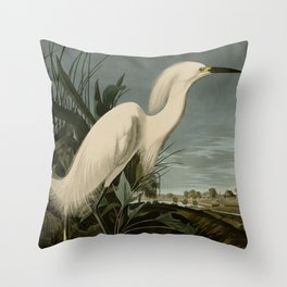 Snowy Heron or White Egret from Audubon Birds of America Throw Pillow