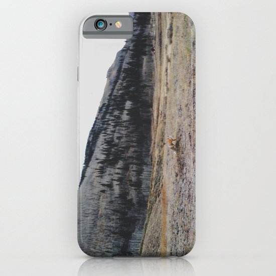 Silverton Fox iPhone & iPod Case