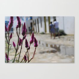 Walking with Beauty Canvas Print