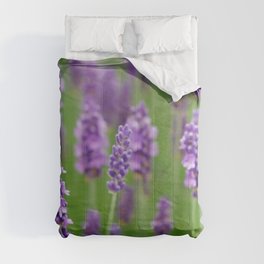 lavender Comforter