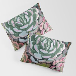 Succulent Garden Pillow Sham