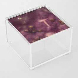 Darkruby Rock Acrylic Box