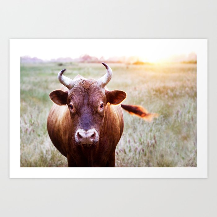 Cow 01 Art Print by GLEAUX art • photo • design | Society6