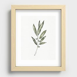 Olive Branch Watercolor Recessed Framed Print