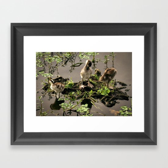 Ducklings Framed Art Print