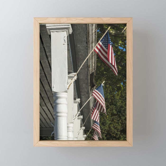 Patriot Framed Mini Art Print