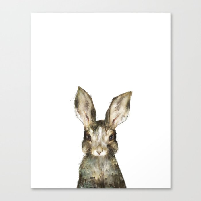 Little Rabbit Canvas Print