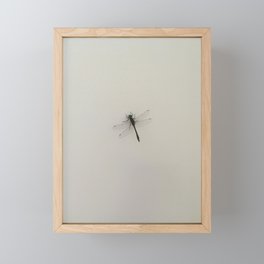 Muskoka Dragonfly Framed Mini Art Print