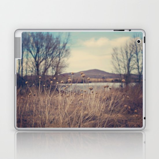 Mountain View Laptop & iPad Skin