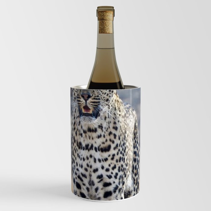 South Africa Photography - White Leopard In The Winter Weather Wine Chiller