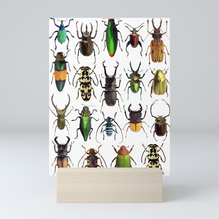 Beetles Collage Mini Art Print