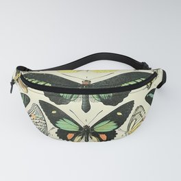 Vintage Butterfly Print - Adolphe Millot Fanny Pack